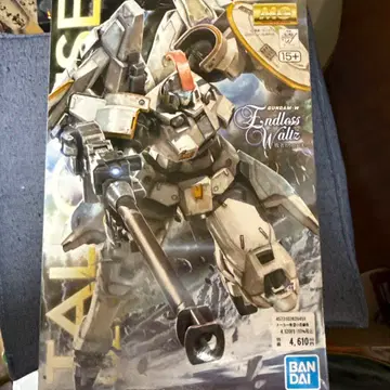 MG 1/100 톨기스 EW