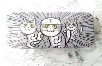 일하는 고양이 안경 케이스
