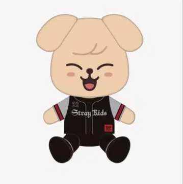 straykids dominATE 퍼핌 봉제 인형