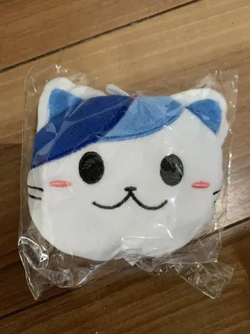 오타이 이냔 에코백