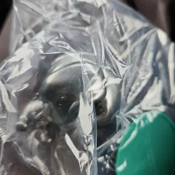 MrsGreenApple 제일복권 C상 시크릿