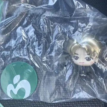 Mrs. GREEN APPLE 제일복권 C상 SD 피규어 와카이 히로토