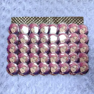 앙스타 오우카와 코하쿠 피쳐 캔뱃지 40점