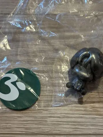 오오모리 씨 피규어 시크릿