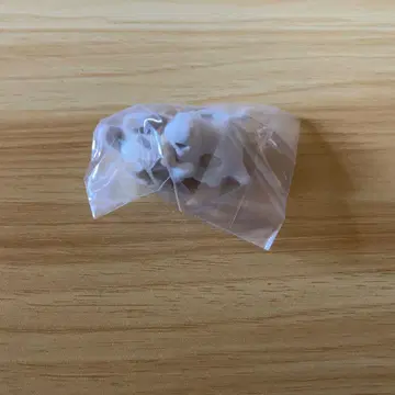 포켓몬 슬립 카라카라
