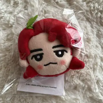 Mrs. GreenApple 미세스 봉제 인형 키링 와카이 히로토