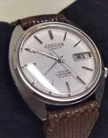 시티즌 레오펄 CITIZEN LEOPARD 변화 다이얼 28석