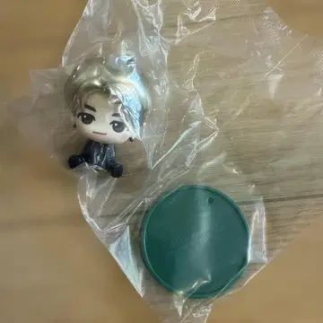 Mrs. GREEN APPLE 와카이 히로토