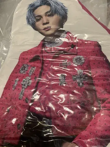 야기 유세이 다이컷 쿠션