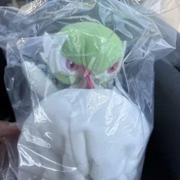 D상 메가 프테라노돈 봉제 인형 제일복권 포켓몬 메가진화