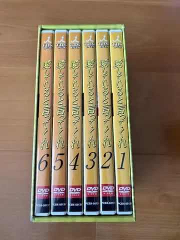 사랑한다고 말해줘 DVD-BOX 토요카와 에츠시 토키와 타카코