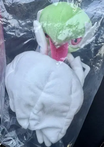 포켓몬 제일복권 D상 메가 메가나이트