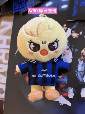 straykids skzoo karma 포가리