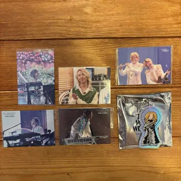 Mrs.GREENAPPLE 후지와라 료카 포토 카드 키링