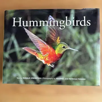 Hummingbirds by Ronald Orenstein