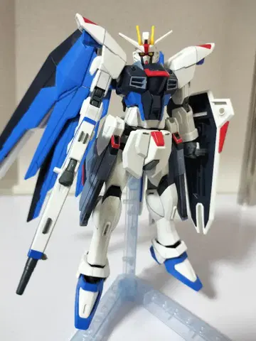 HGCE 프리덤