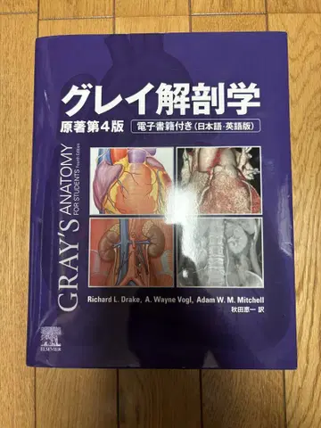 그레이 해부학
