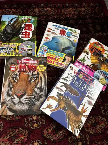 도감 5권 세트 DVD 파충류, 물고기, 곤충, 동물