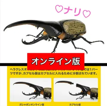 온라인판 헤라클레스 헤라클레스 개 (노란색) 생물대도감 투구벌레 07