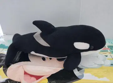 범고래 봉제 인형