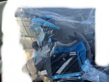 A상 메가리자몽X 봉제 인형 제일복권 포켓몬 메가진화