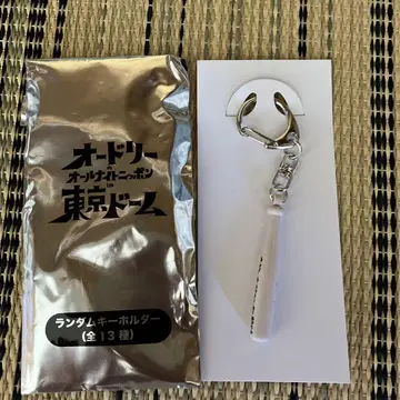 오드리 올 나이트 닛폰 키링 도쿄돔 카스가 와카바야시