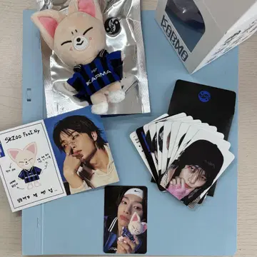 스키즈 karma 아이엔 skzoo 앨범 nemoz 봉제 인형