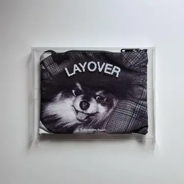 BTS V 태현 LAYOVER 파우치 연탄