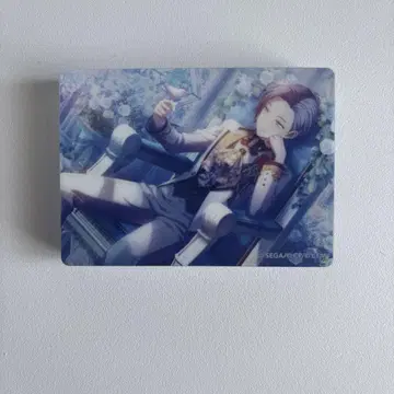 프로세카 노블 아트 아오야기 토야