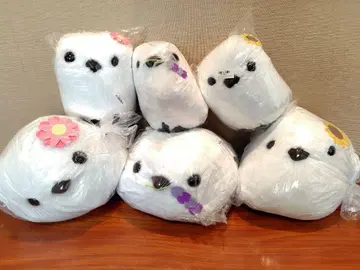 복복 시마연가 컬러풀 플라워 6마리 세트