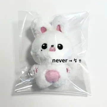 IVE 아이브 원영 봉제 인형 키링 part1