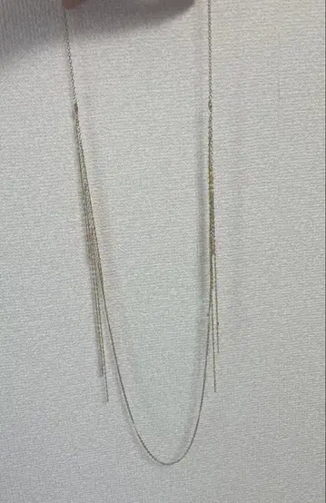 롱 골드 체인 목걸이