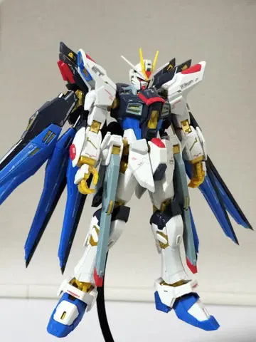 RG 스트라이크 프리덤
