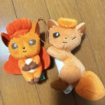 식스테일 2체 세트 봉제 인형