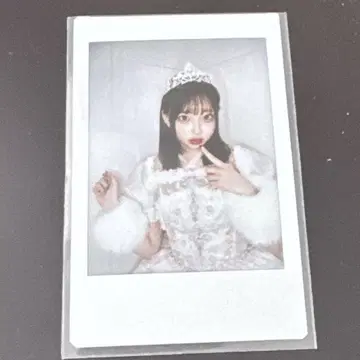 사쿠라바 하루카 생일 폴라로이드 빙고 큐스토 cutiestreet