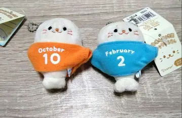 생일 기념 T셔츠 시로탄 2개 세트