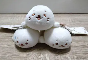 시로타니스트 시로탄 키링