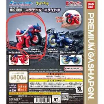 프리미엄 가샤폰 포켓몬스터 포켓몬 pokemon 코라이돈