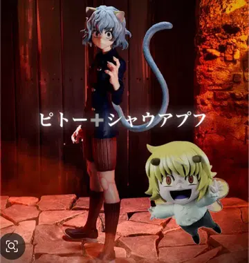 HUNTER x HUNTER 1번 복권 피토와 샤우아푸후 세트