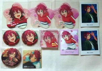 앙스타 동심진장 폴라로이드 클리어 카드 코레칸 파샤 이사라 마오