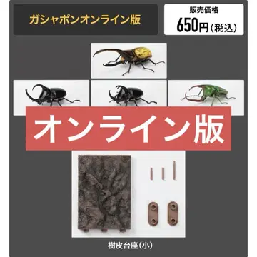 생물대도감 딱정벌레 09 온라인판 헤라클레스 가부토 하나무시