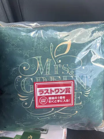 Mrs. GREEN APPLE 쿠션 라스트 원상