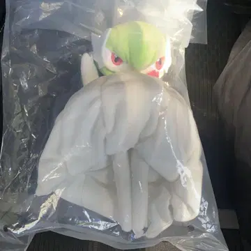 포켓몬 메가진화 제일복권