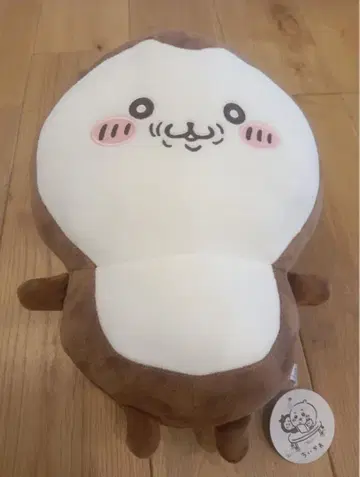 치이카와 (먼작귀) 장수풍뎅이 봉제 인형
