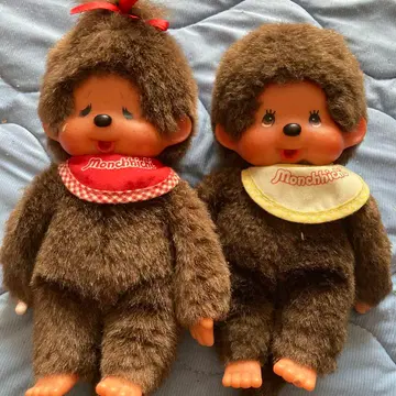 세키구치 몽치치 페어