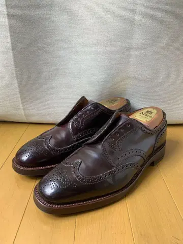 Alden 윙팁 #8 BROGUE 별주