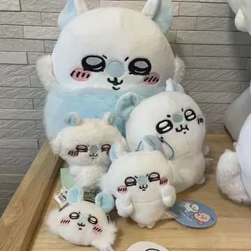 치이카와 모몽가 5종 세트