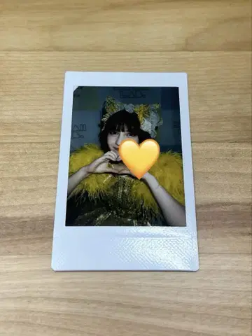 하야세 노엘 대혜택회 폴라로이드