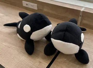 나고야항 수족관 오리지널 봉제 인형 복권 3등 블랙 범고래 2개 세트
