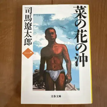 새상품급 나노하나노오키 1~6권 6책 세트